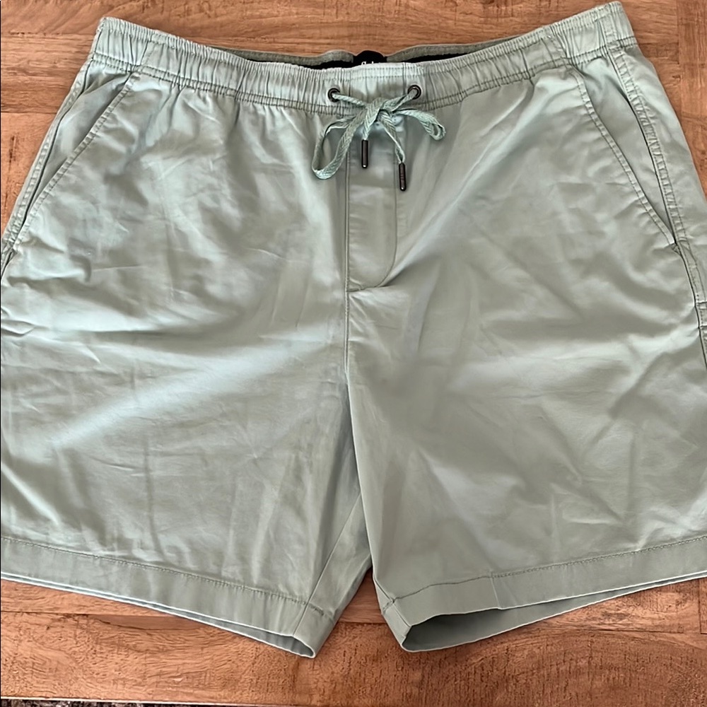 GAP Men's Hybrid Shorts in Light Green